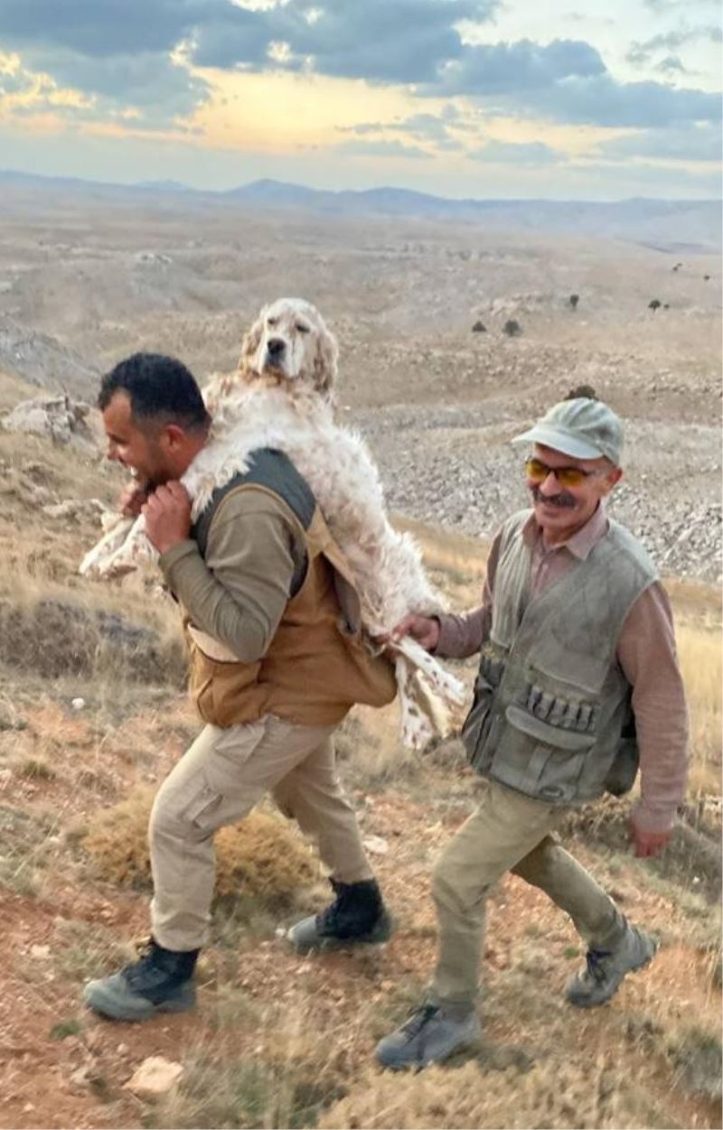 Yorulan köpeğini sırtında taşıdı