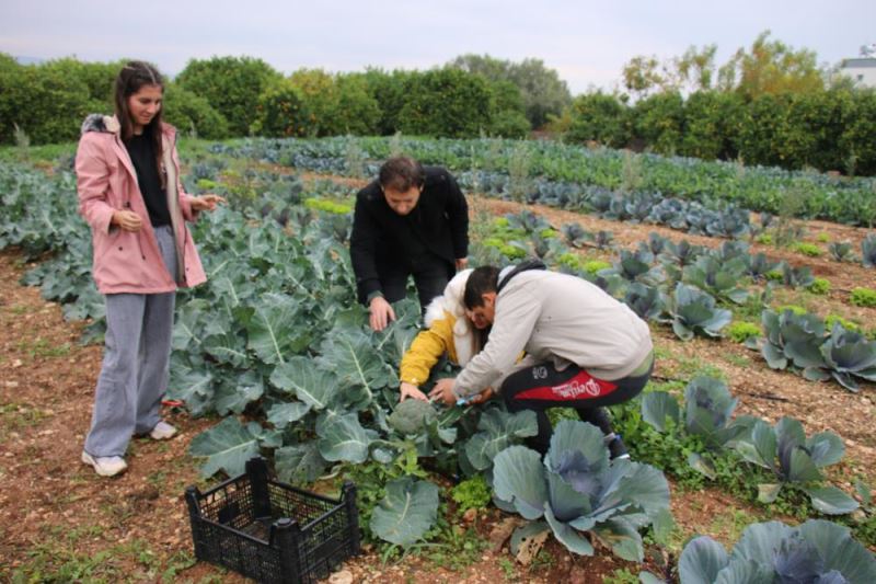 Mersin