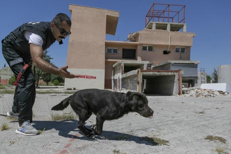 İtfaiyenin K9 köpeği eğitmenleri Mersin