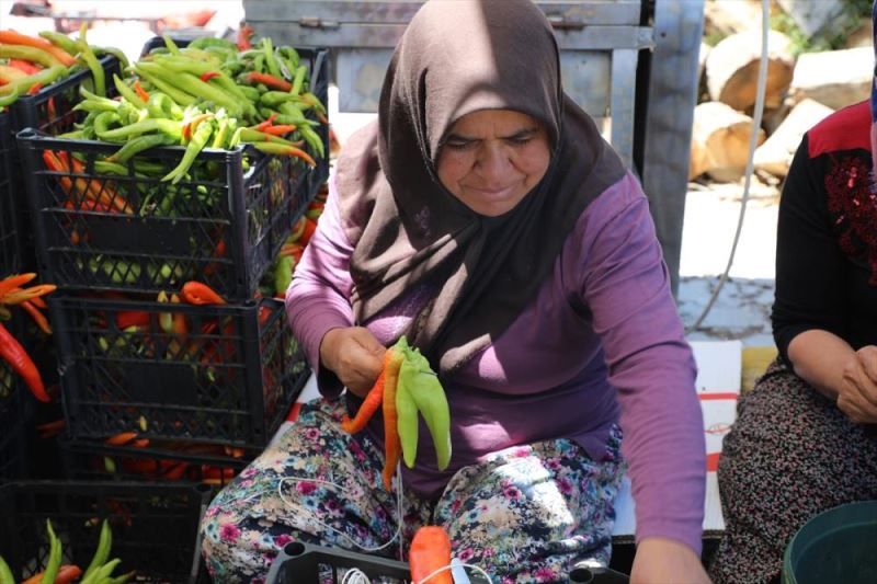 Kadın girişimciler kalkınma kooperatifi ile yöresel ürünleri pazarlıyor