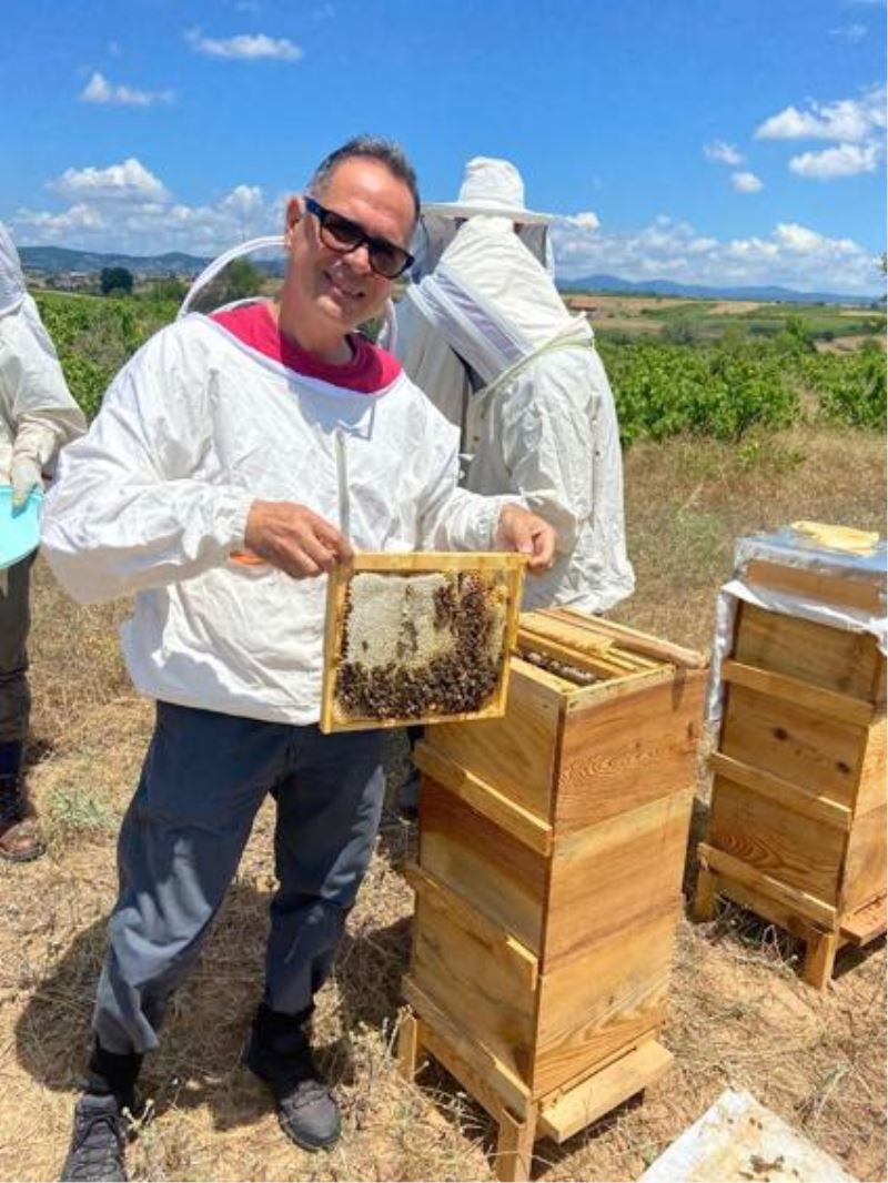 İklim değişikliği varroa hastalığının bal arıları üzerindeki etkisini artırıyor