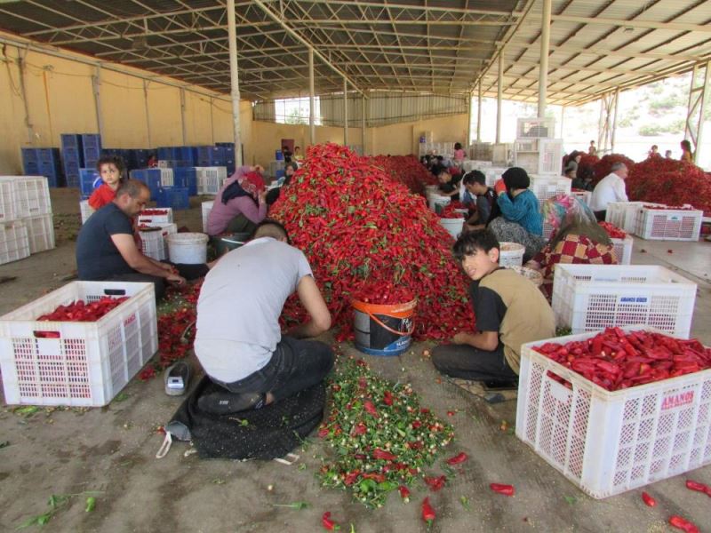 Gaziantep