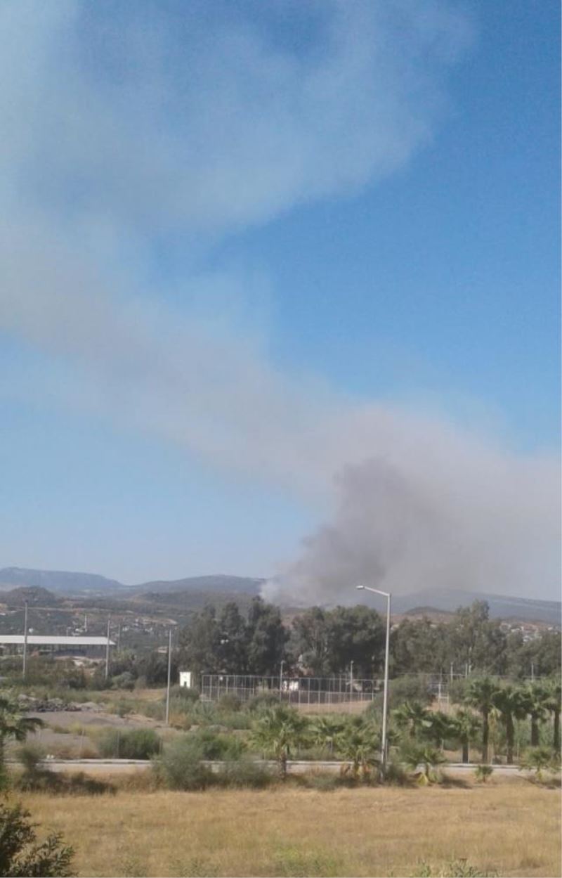 Mersin