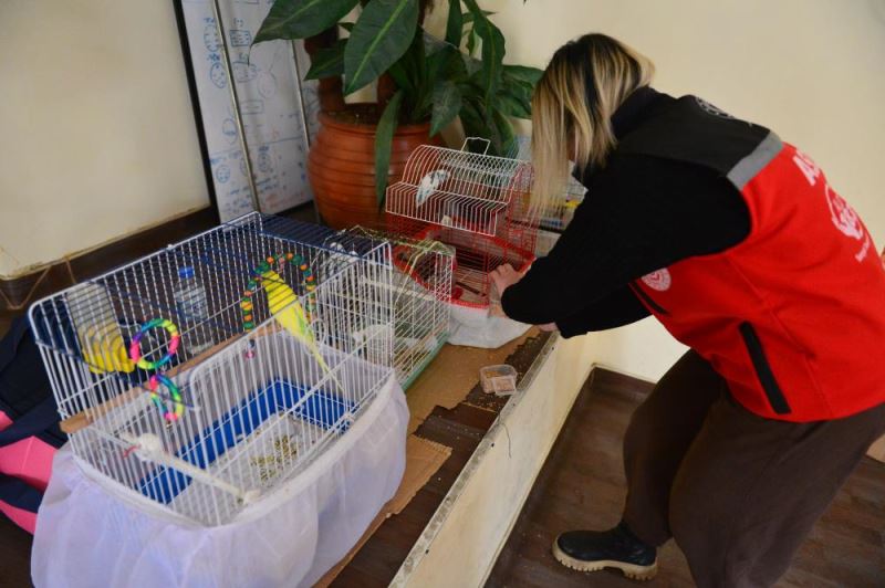 Depremden önce kedilerinin uyandırdığı hemşire, sahipsiz kalan hayvanlara 