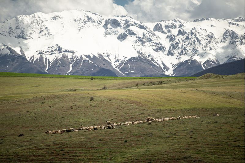 Kahramanmaraş