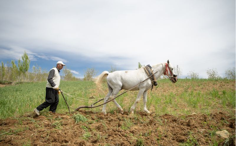 Kahramanmaraş