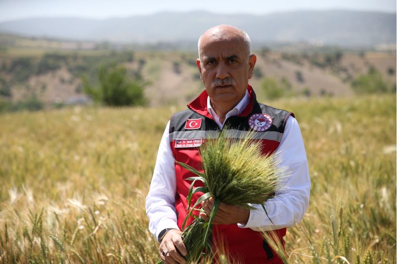Bakan Kirişci 21 milyon ton buğday rekoltesi beklendiğini açıkladı