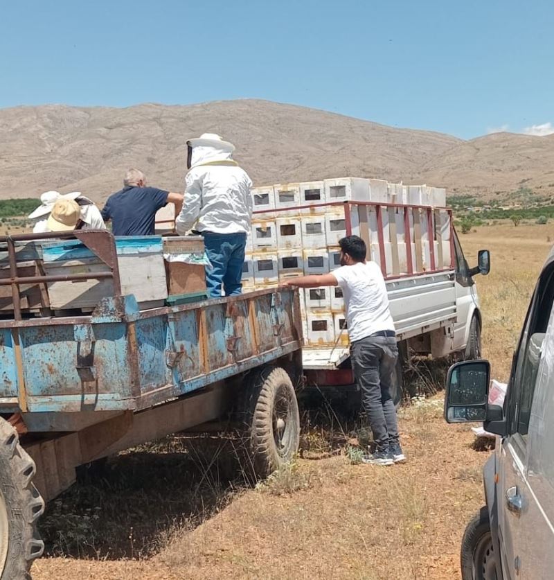 Depremzede üreticilere 1305 arılı kovan dağıtıldı