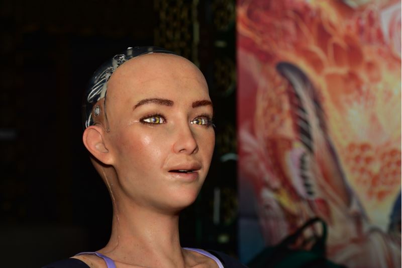 Dünyada vatandaşlığa kabul edilen ilk robot Sophia, Antalya