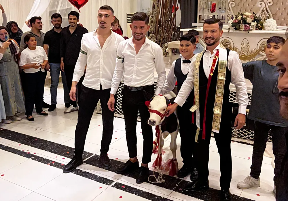 Düğünde buzağı hediye edildi