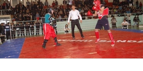 Wushu Turnuvası 