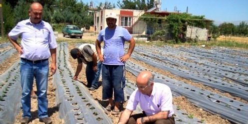 Üreticilere alternatif ürün desteği