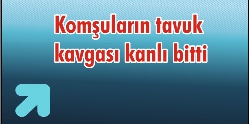 Komşuların tavuk kavgası kanlı bitti