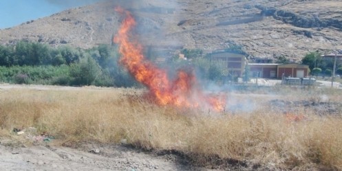 Elbistan`da ot yangını korkuttu