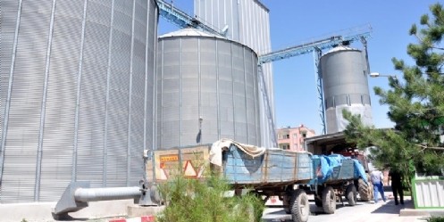 Elbistan`da buğday alımı başladı