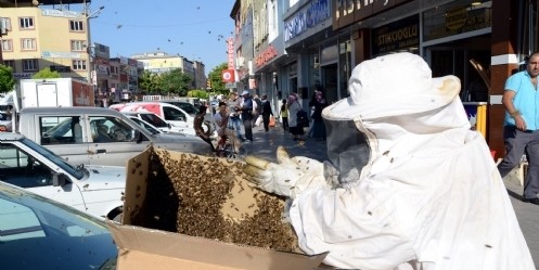 Kovanlarını terk eden arılar caddeyi sardı 