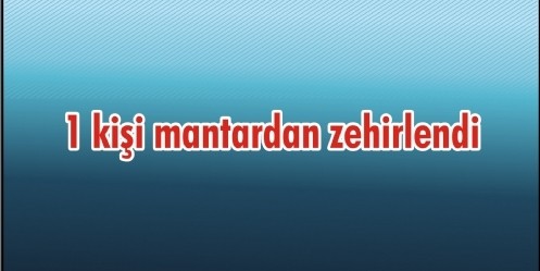 1 kişi mantardan zehirlendi