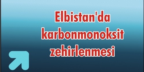 Elbistan`da karbonmonoksit zehirlenmesi