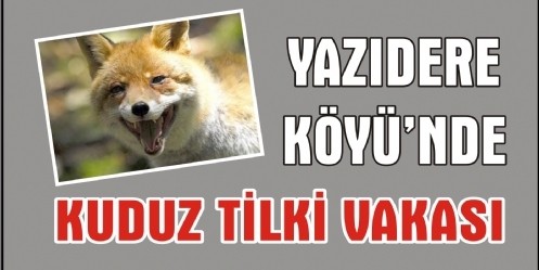 Yazıdere Köyü Kuduz Tilki Nedeniyle Karantinaya Alındı