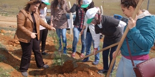 Eshab-ı Kehf`te, fidan dikme etkinliği