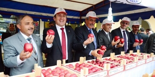 1. Göksun Elma Festivali 