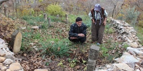 Şehitlik yok olma tehlikesiyle karşı karşıya
