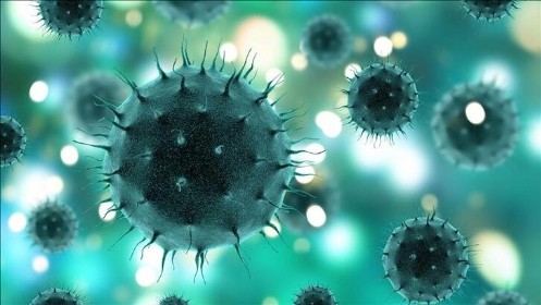 Virüslere Karşı Bağışıklığı Güçlendirmenin Yolları