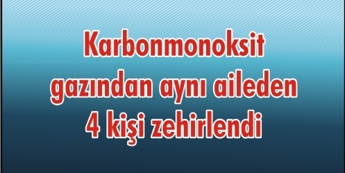 Karbonmonoksit gazından aynı aileden 4 kişi zehirlendi