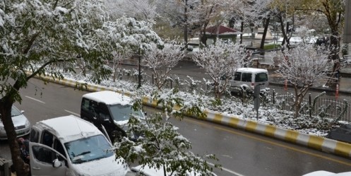 Yılın ilk karı yağdı