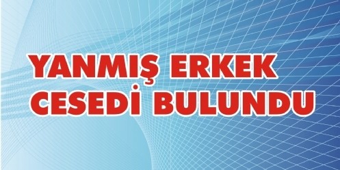 Yanmış erkek cesedi bulundu