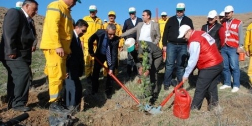 Yeşil Kuşak