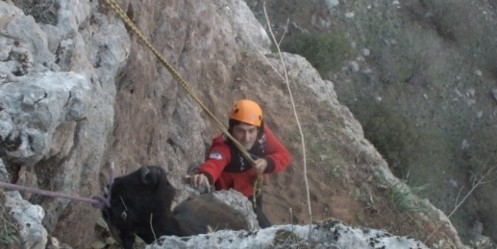 Kayalıklarda Mahsur Kalan Keçiler 10 Gün Sonra Kurtarıldı