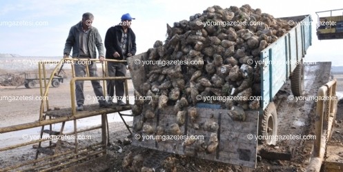 Elbistan Şeker Fabrikası`nda pancar alımı sona erdi