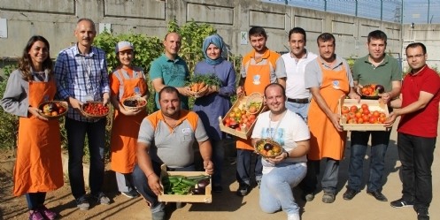 Bahçe İle Uğraşmak Stresi Azaltıyor
