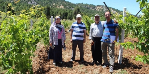 Bertiz Kabarcığına Telli Terbiye Sistemi
