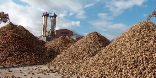 Şeker Fabrikası`nda 47 bin ton şeker üretildi