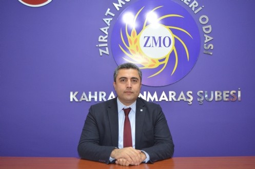 ZMO