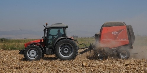 Mısır sapı ekonomiye kazandırılıyor  