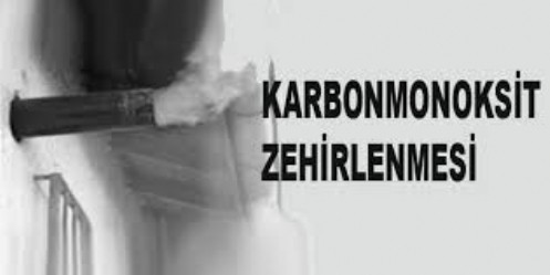 Elbistan`da Karbonmonoksit Zehirlenmesi 