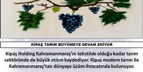 Kipaş Tarım 