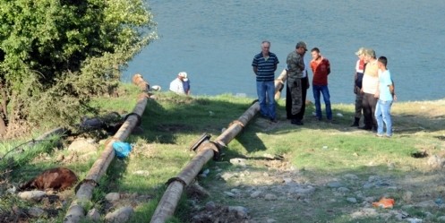 Elektrik akımına kapılan keçi telef oldu