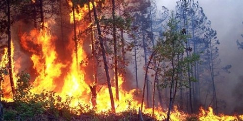 Kahramanmaraş`ta Yangın