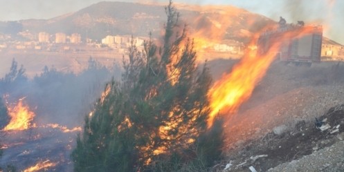 KSÜ Ormanında Yangın Çıktı