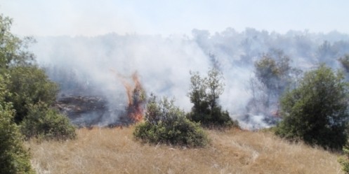 Kahramanmaraş`ta örtü yangını 