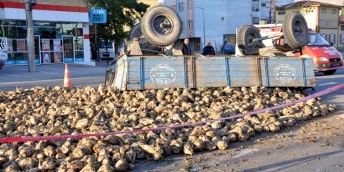 Şeker pancarı yüklü römork devrildi