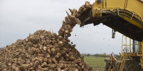 Şeker fabrikası, yeni sezona hazır
