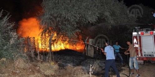 Otluk Alanda Çıkan Yangın Korku Dolu Anlar Yaşattı 