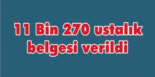 11 Bin 270 ustalık belgesi verildi