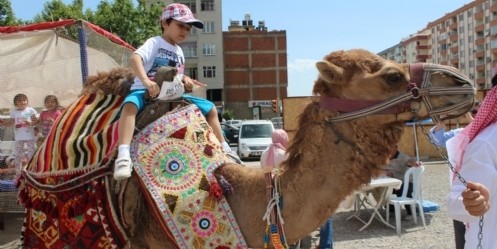 Yoğun ilgi Deveyi kurtaracak mı? 