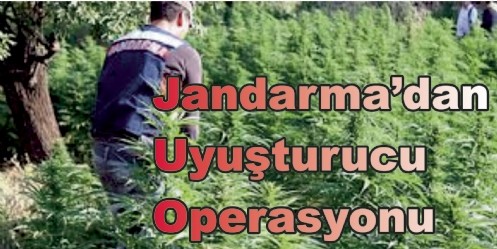 Jandarma